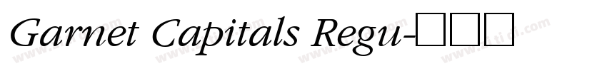 Garnet Capitals Regu字体转换